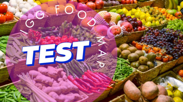 IgG Food Map Test + Candida