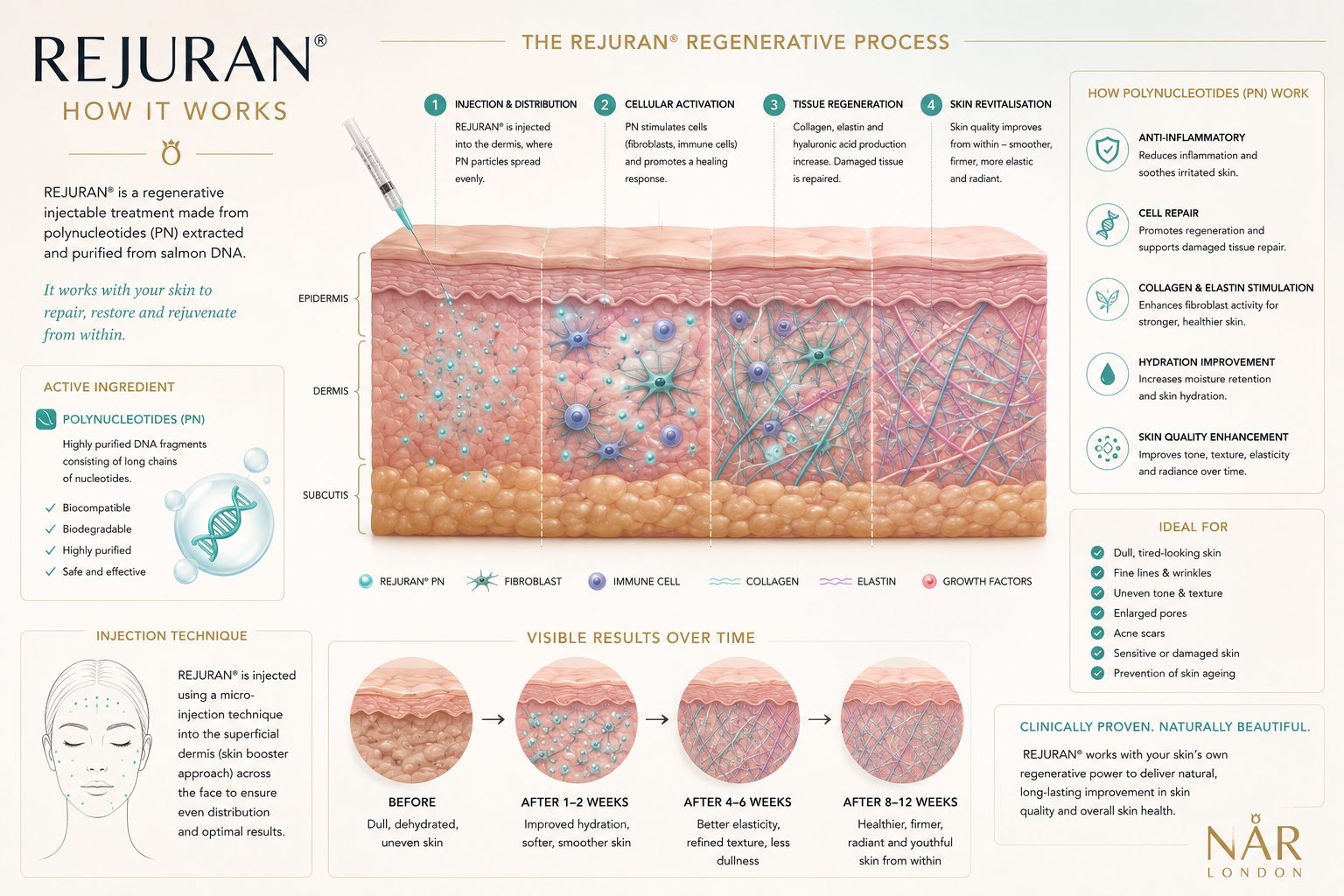 Rejuran-Mechanism-Diagram Rejuran treatment Diagram